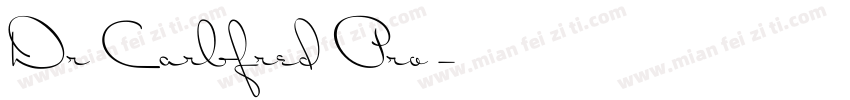 Dr Carbfred Pro字体转换
